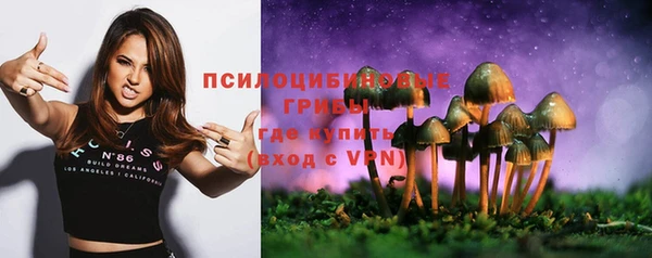синтетический гашиш Алексеевка